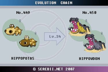 what level does hippopotas evolve